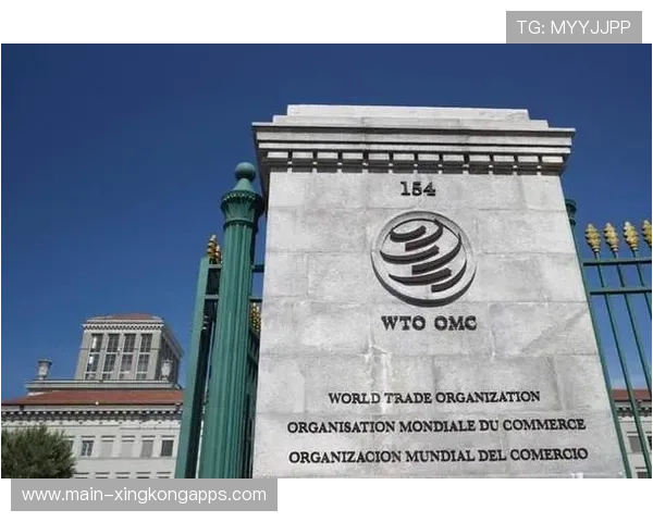 一个重大变化：中国不再要WTO“优待”了！