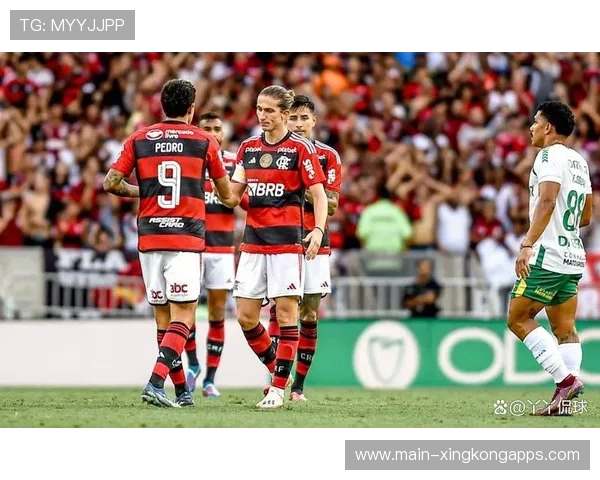 弗拉门戈控场压制突尼斯希望,弗拉门戈球迷 弗拉门戈控场压制突尼斯希望,弗拉门戈球迷