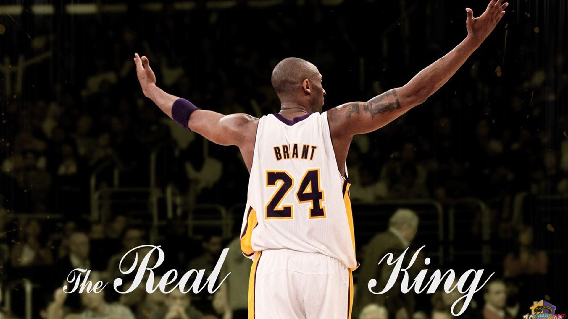 孔帕尼,从惊悚到大惊喜,孔帕尼数据